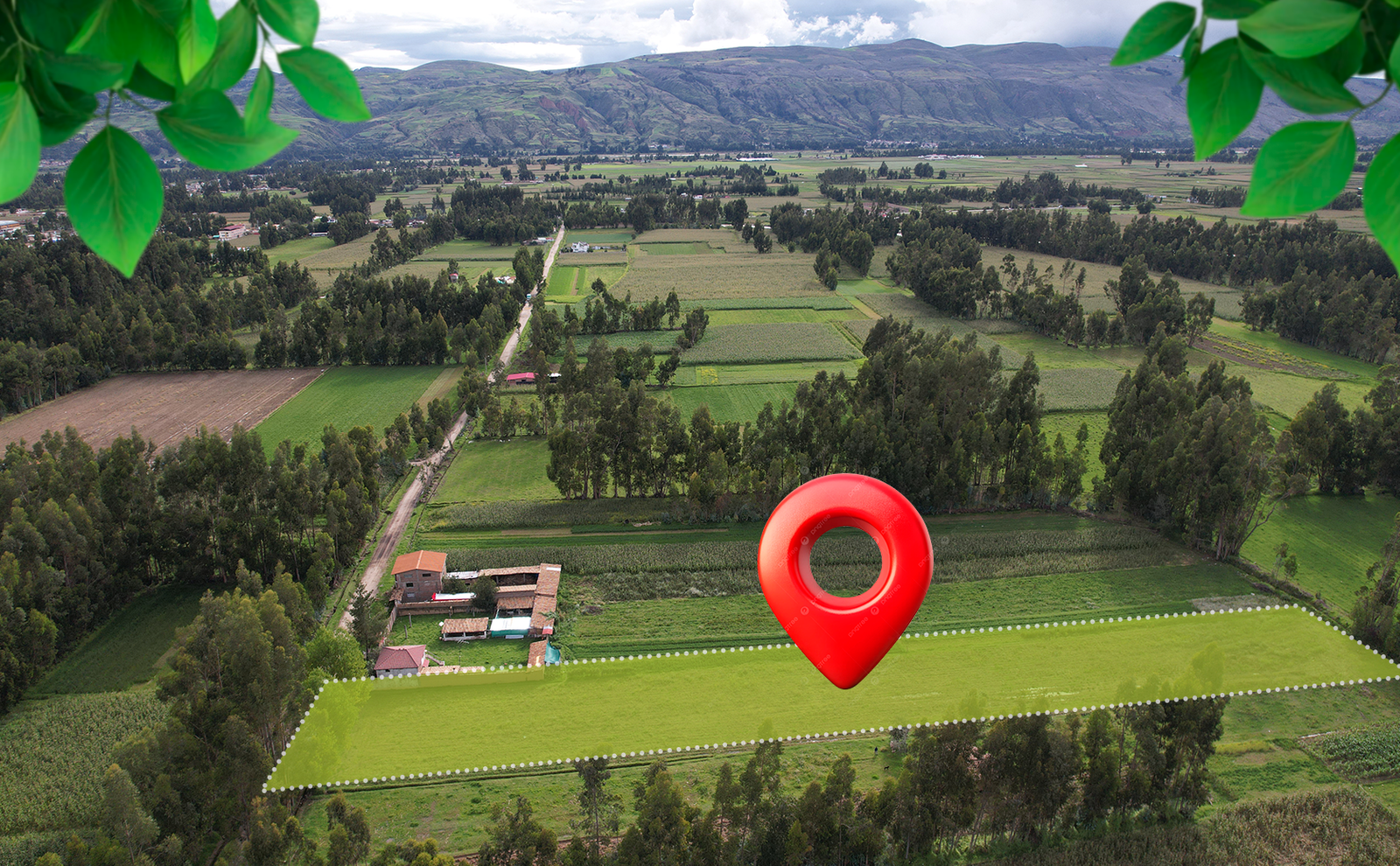 Lote 1